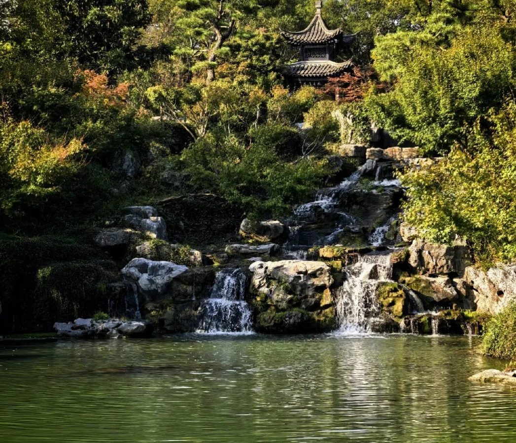 目录与论坛怎么选 · 国际生活场景
