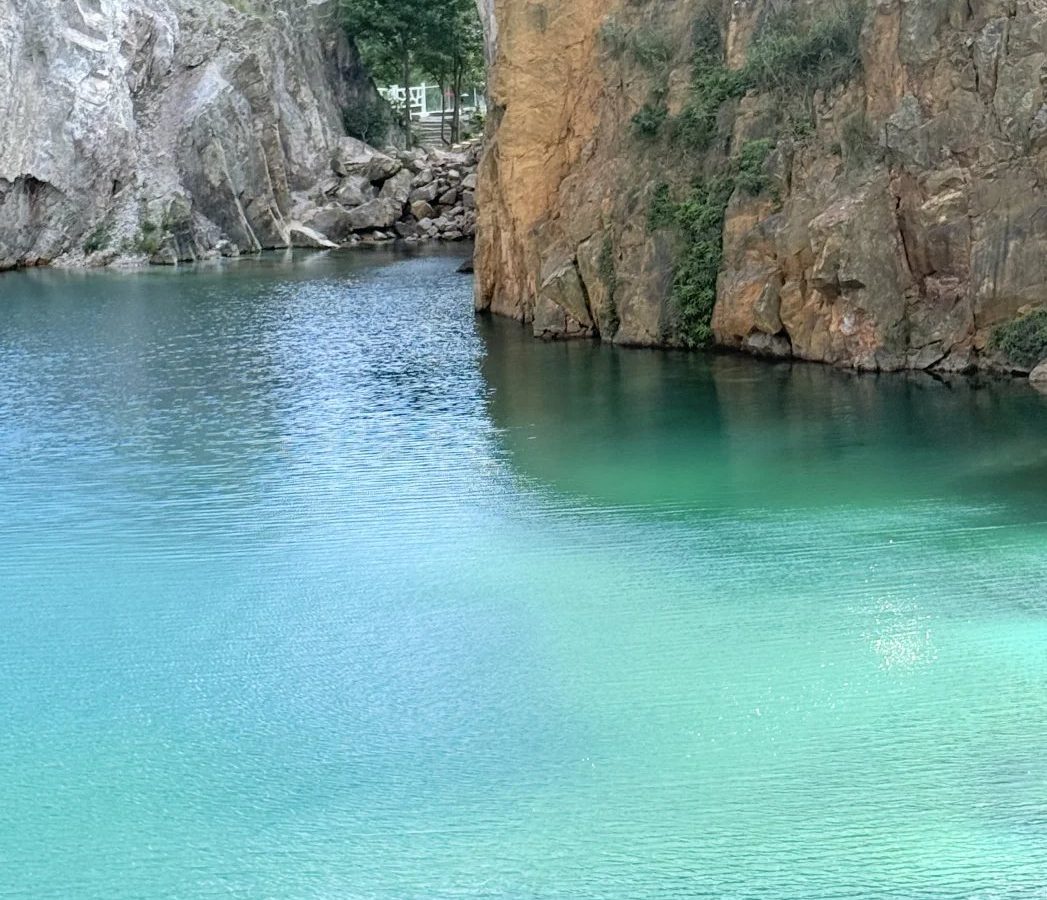 鲜花类目录怎么看 · 国际生活场景
