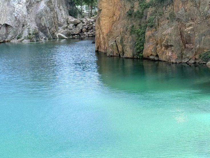 鲜花类目录怎么看 · 国际生活场景